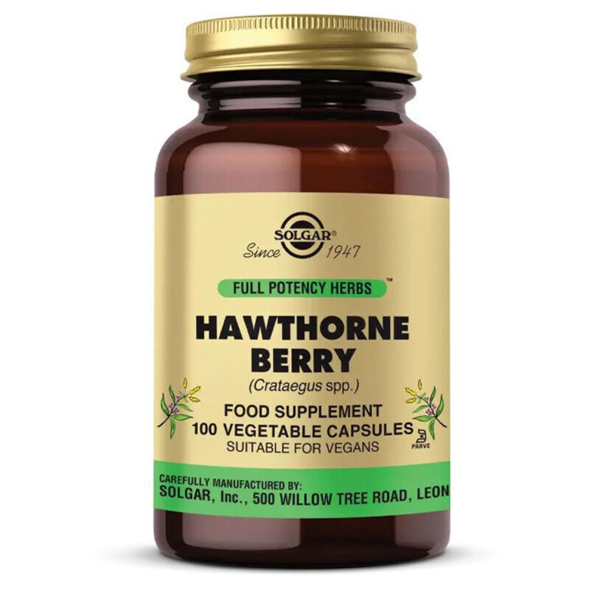 SOLGAR HAWTHORNE BERRY KAPSUL 100 kapsül