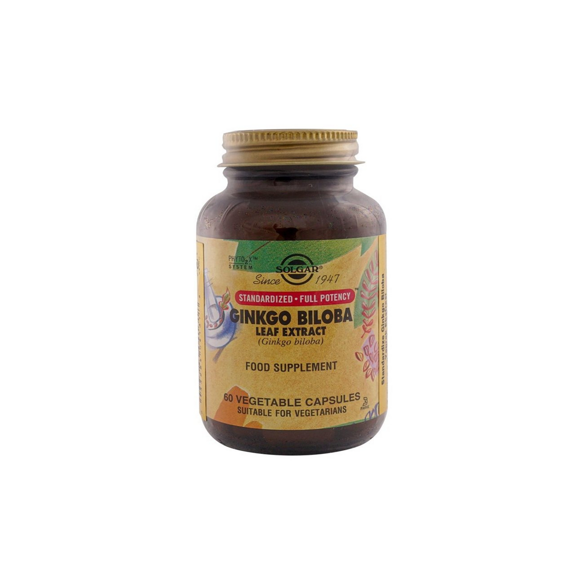 SOLGAR GINKGO BILOBA LEAF EXTRACT KAPSUL 60 kapsül